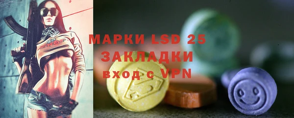 стафф Михайловск