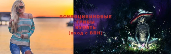 стафф Михайловск