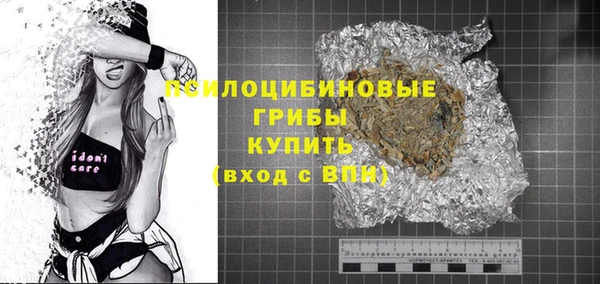 стафф Михайловск