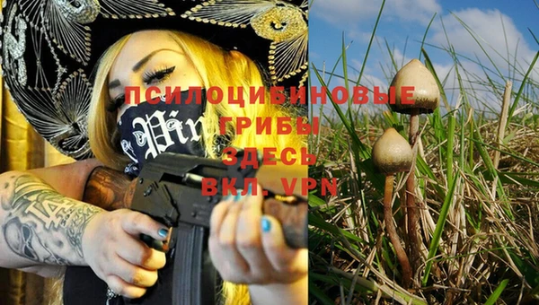 прущая мука Михайловка