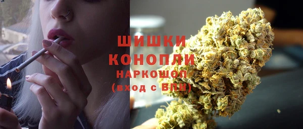 стафф Михайловск