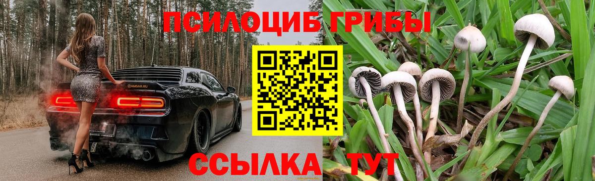 Псилоцибиновые грибы MAGIC MUSHROOMS Ярославль